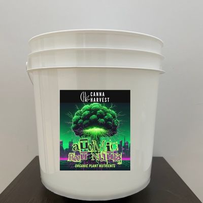 Polypropylene Customized Tubs 3L 4L 5L 8L 10L Container Plastic Bucket with Lid