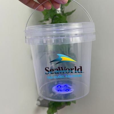 Durable Plastic Bucket Customize PP Ice Cream Container with and Customized Design