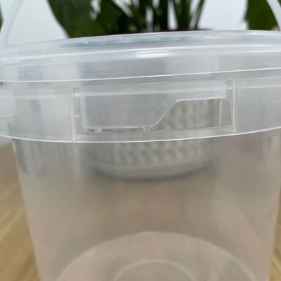 Custom Logo Printing Plastic Bucket with Lid Food Grade White and Environment Friendly
