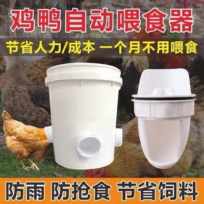 Leak Proof Square Plastic Bucket for Water and Animal Feeding 1.0 to 2.5 MM Thickness