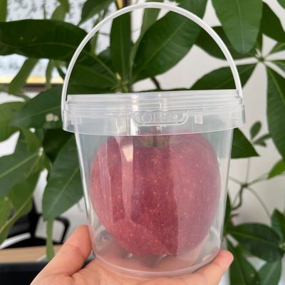 1L 2L 3L 4L 5L 8L 10L Multi-function Plastic Bucket with Lid Customize YES