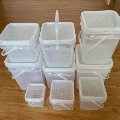 Square Seed Storage Bucket with Transparent Design and Convenient Lid Handle
