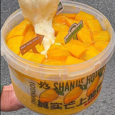 Customize Plastic Container Small Plastic Bucket with 500ml Capacity and Accessories