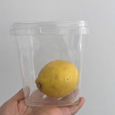 Customized PP Container Drink Bucket in Clear White Color for and Customized Needs